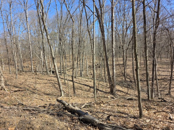Big Timber Ridge - Phase II Tract 5 property photo