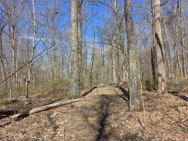 Big Timber Ridge - Phase II Tract 5 property photo