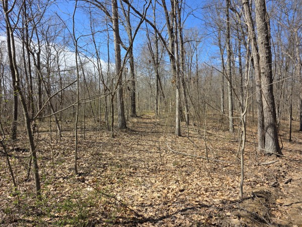 Big Timber Ridge - Phase II Tract 5 property photo