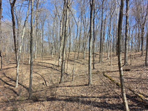Big Timber Ridge - Phase II Tract 5 property photo