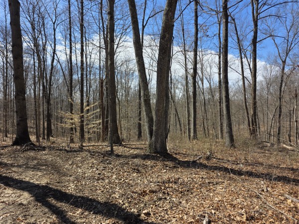 Big Timber Ridge - Phase II Tract 5 property photo