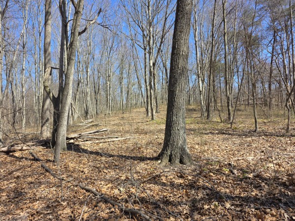 Big Timber Ridge - Phase II Tract 5 property photo