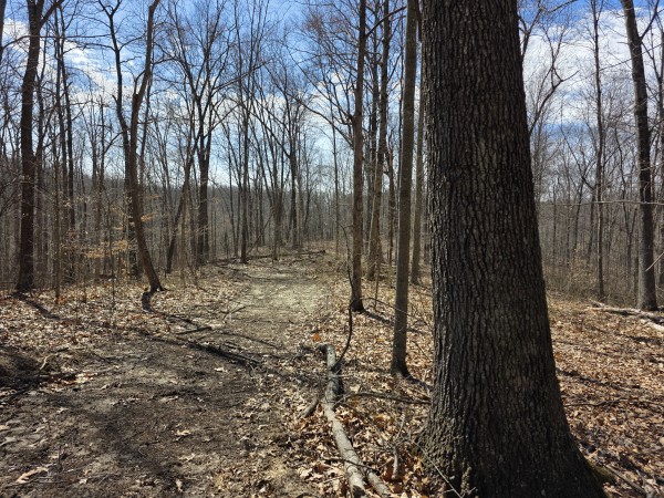 Big Timber Ridge - Phase II Tract 5 property photo