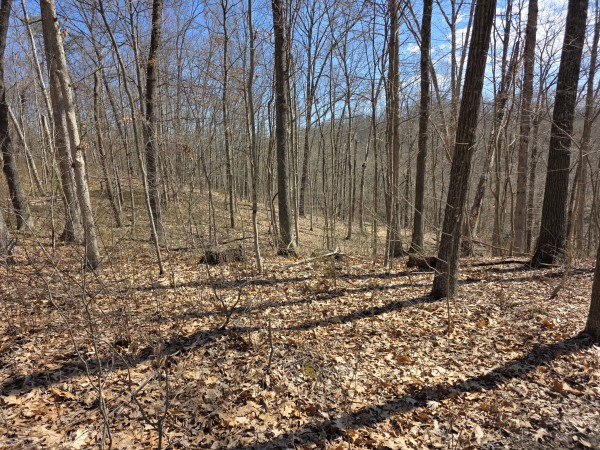 Big Timber Ridge - Phase II Tract 5 property photo
