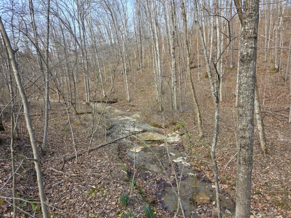 Big Timber Ridge - Phase II Tract 5 property photo