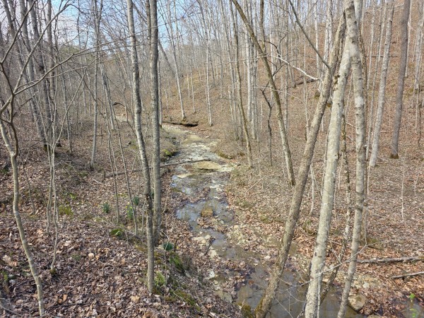 More of Big Timber Ridge - Phase II Tract 5