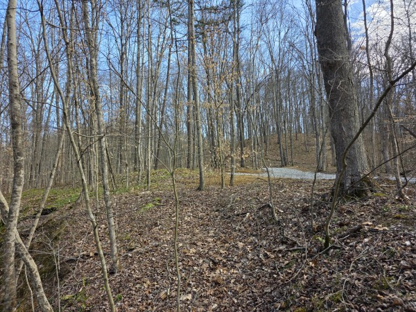 Big Timber Ridge - Phase II Tract 5 property photo