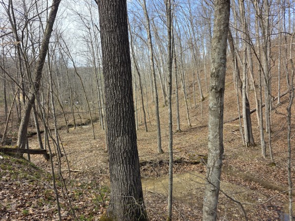 Big Timber Ridge - Phase II Tract 5 property photo