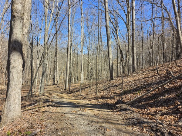 Big Timber Ridge - Phase II Tract 5 property photo