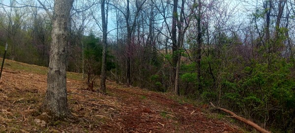 Tract 2 at Crown Wildlife Retreat property photo