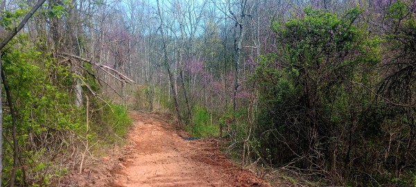 Tract 2 at Crown Wildlife Retreat property photo