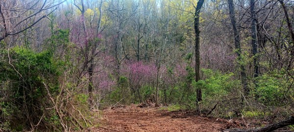 Tract 2 at Crown Wildlife Retreat property photo