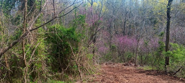Tract 2 at Crown Wildlife Retreat property photo