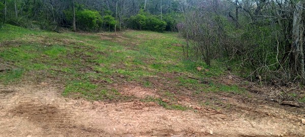 Tract 2 at Crown Wildlife Retreat property photo