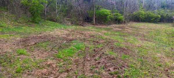 Tract 2 at Crown Wildlife Retreat property photo