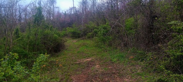 Tract 2 at Crown Wildlife Retreat property photo