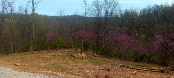Tract 2 at Crown Wildlife Retreat property photo