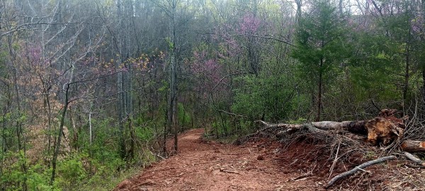 Tract 2 at Crown Wildlife Retreat property photo