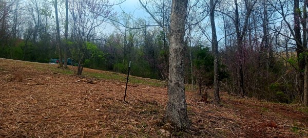 Tract 2 at Crown Wildlife Retreat property photo