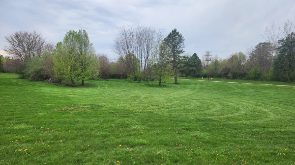 3 Acres at Walnut Meadows property photo