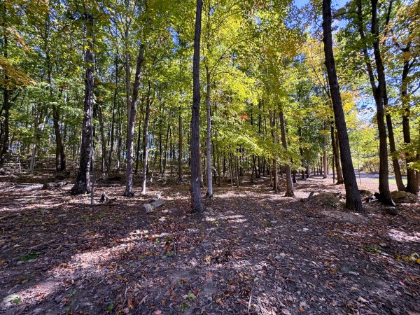 Tract 6 - Easterday Woods property photo