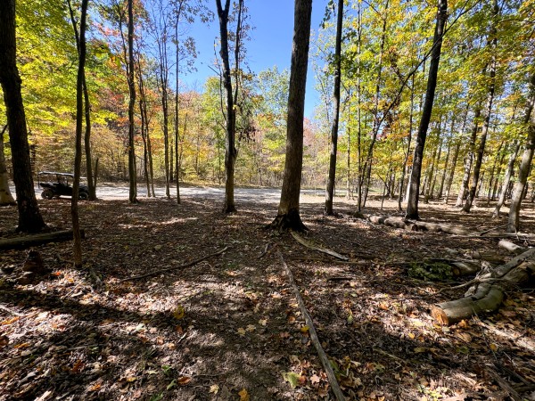 Tract 6 - Easterday Woods property photo