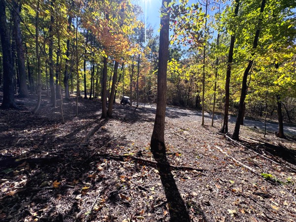 Tract 6 - Easterday Woods property photo
