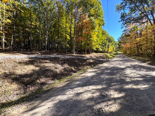 Tract 6 - Easterday Woods property photo