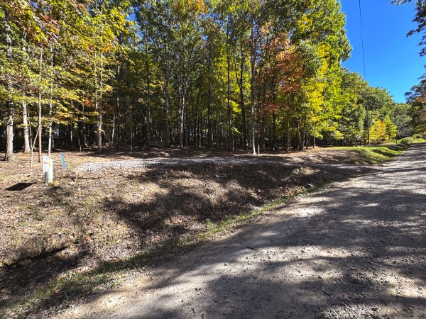 Tract 6 - Easterday Woods property photo