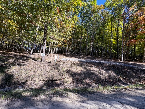 Tract 6 - Easterday Woods property photo