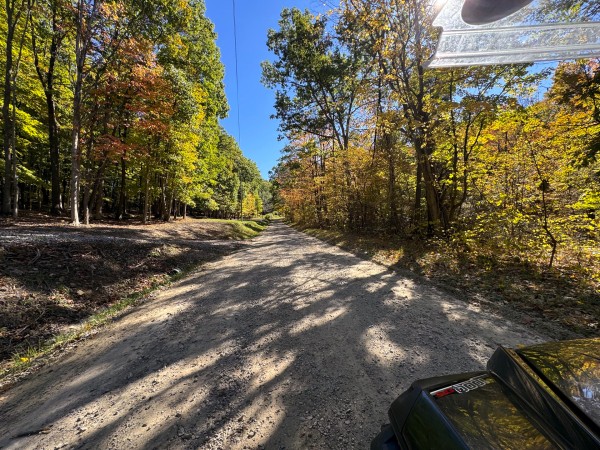 Tract 6 - Easterday Woods property photo