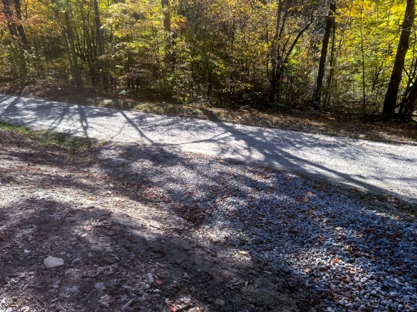 Tract 6 - Easterday Woods property photo