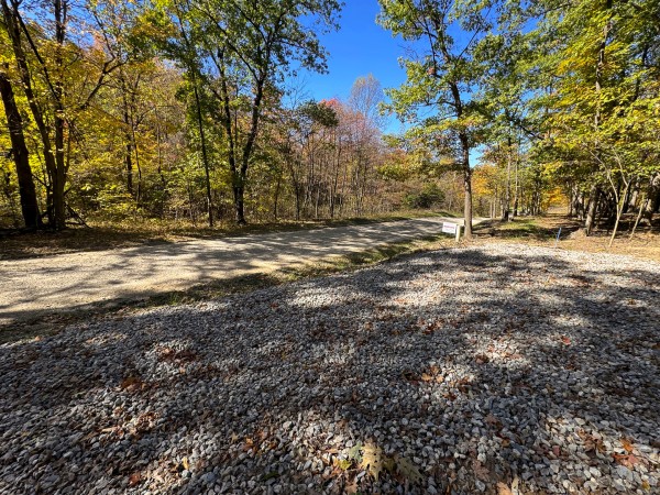 Tract 6 - Easterday Woods property photo