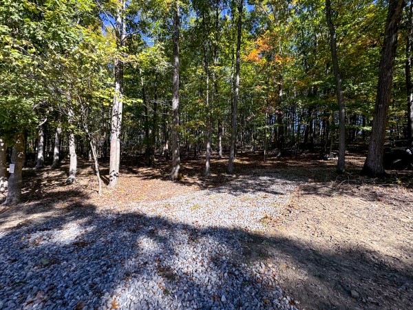 Tract 7 - Easterday Woods property photo