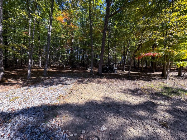 Tract 7 - Easterday Woods property photo