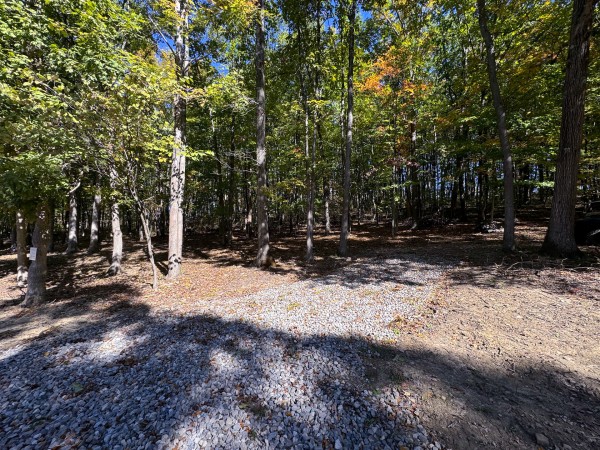 Tract 7 - Easterday Woods property photo