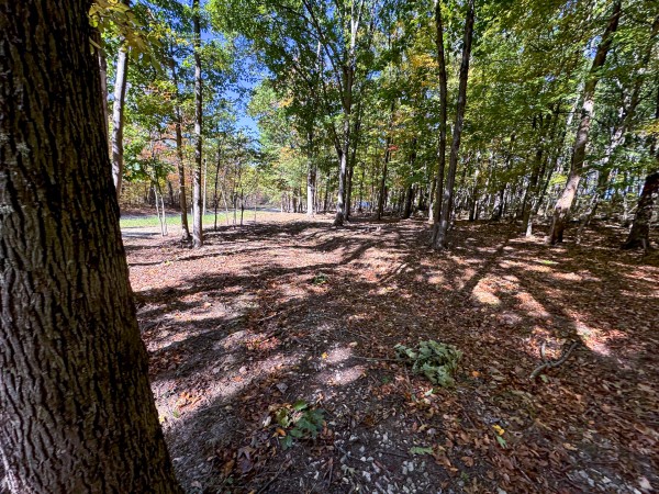 Tract 7 - Easterday Woods property photo