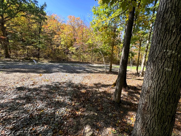 Tract 7 - Easterday Woods property photo