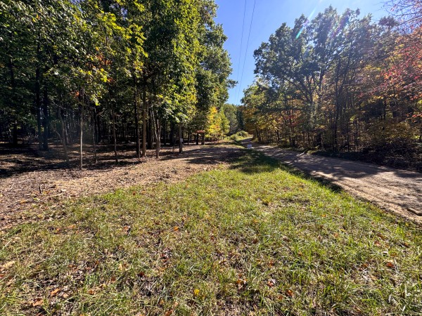 Tract 7 - Easterday Woods property photo