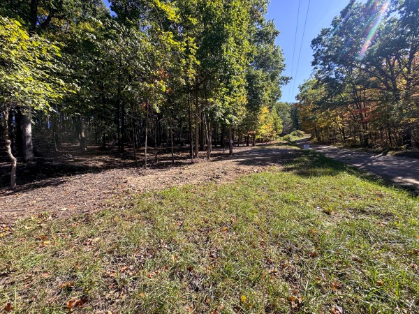 Tract 7 - Easterday Woods property photo