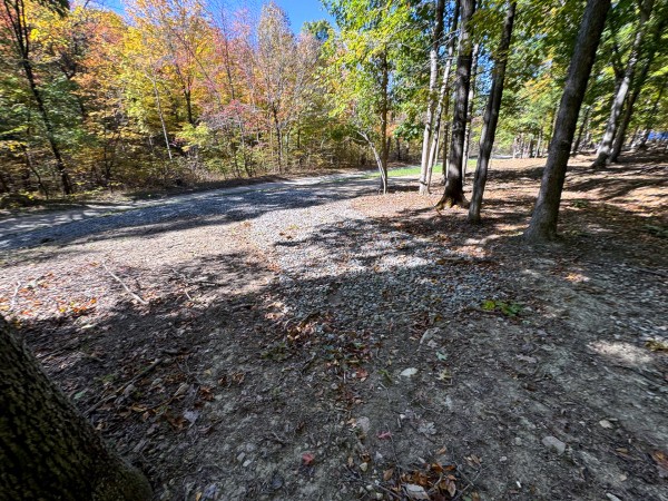 More of Tract 7 - Easterday Woods