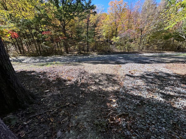 More of Tract 7 - Easterday Woods