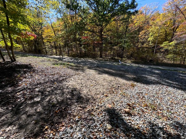 More of Tract 7 - Easterday Woods