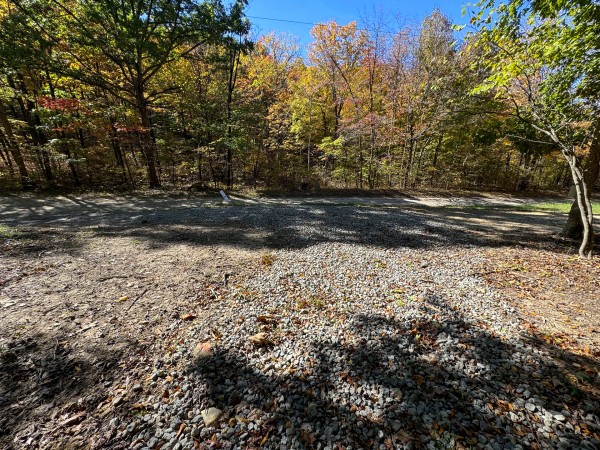 More of Tract 7 - Easterday Woods