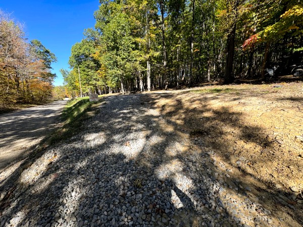 Tract 7 - Easterday Woods property photo