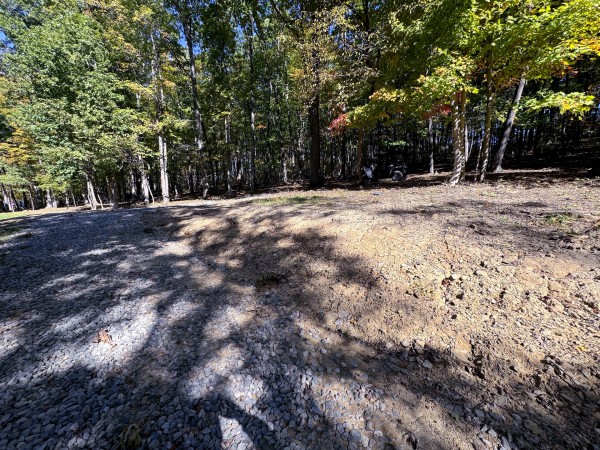 Tract 7 - Easterday Woods property photo
