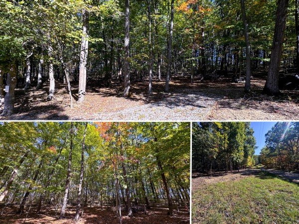 Tract 7 - Easterday Woods property photo