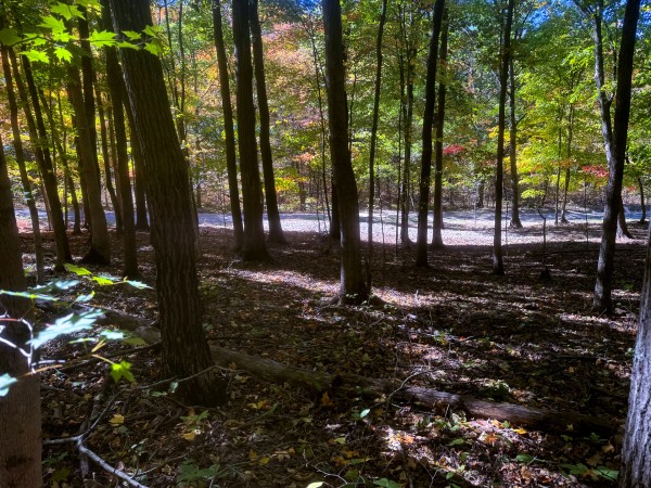 Tract 8 - Easterday Woods property photo