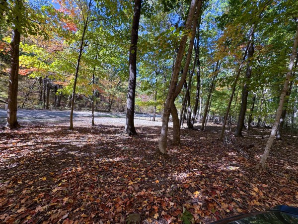 Tract 8 - Easterday Woods property photo