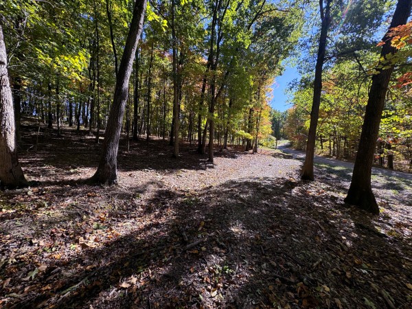 Tract 8 - Easterday Woods property photo